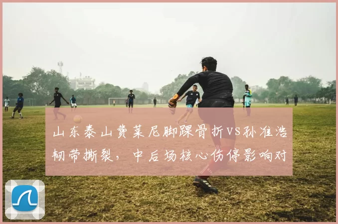 山东泰山费莱尼脚踝骨折vs孙准浩韧带撕裂,中后场核心伤停影响对比
